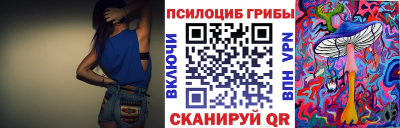 где купить наркотик  Инза  Псилоцибиновые грибы Psilocybe 